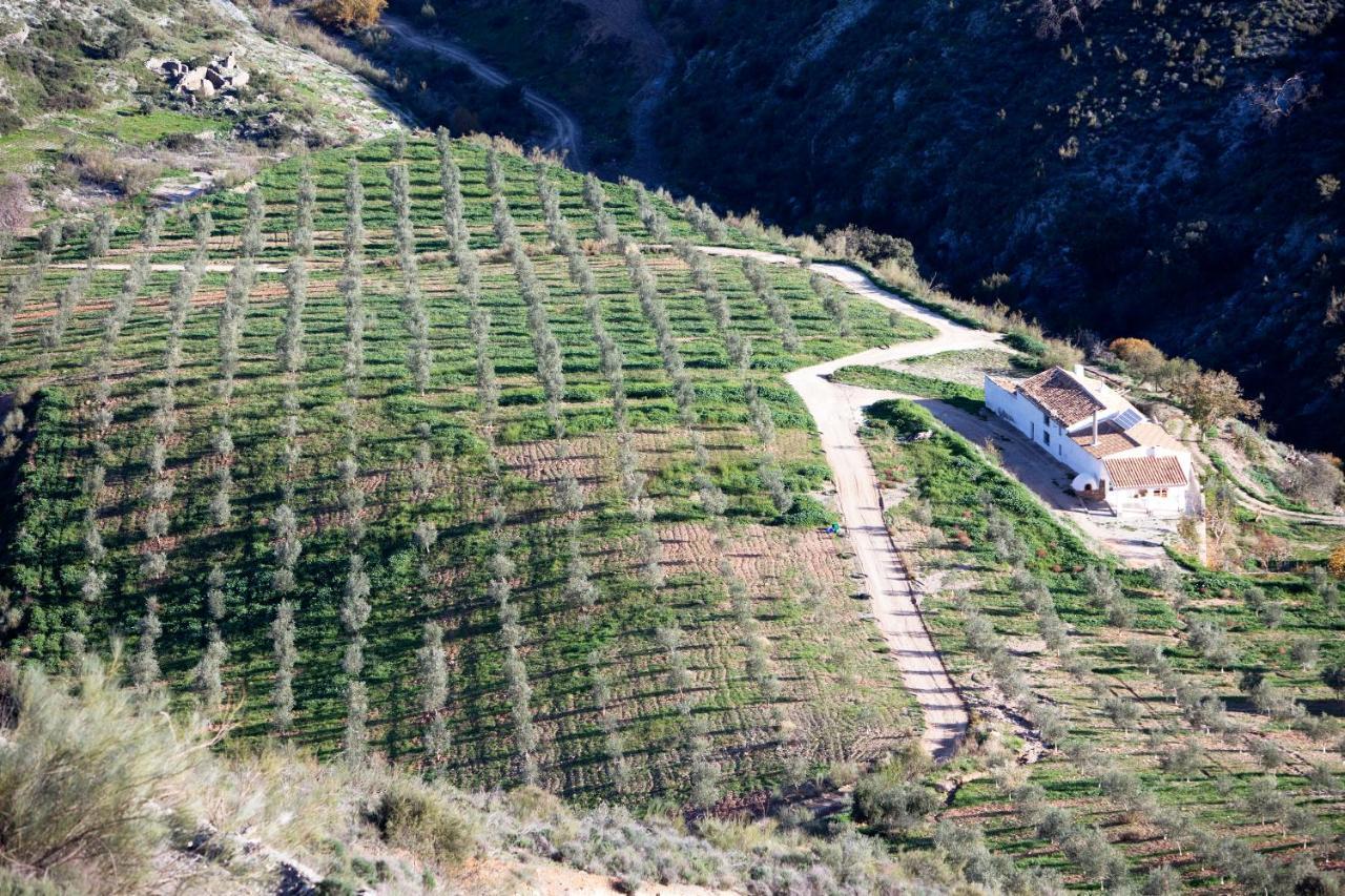 Villa Cortijo El Rancho Albanchez Exterior foto